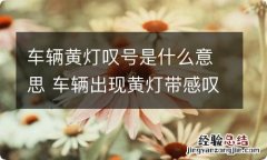 车辆黄灯叹号是什么意思 车辆出现黄灯带感叹号