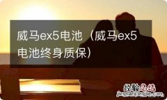 威马ex5电池终身质保 威马ex5电池