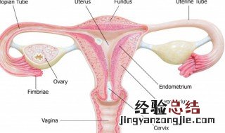 宫寒不孕吗宫寒如何调理 宫寒竟是女性不孕头号杀手