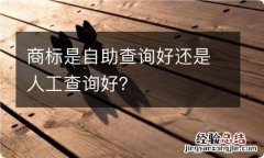 商标是自助查询好还是人工查询好？