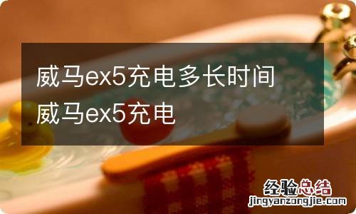 威马ex5充电多长时间 威马ex5充电