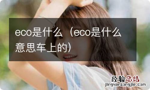eco是什么意思车上的 eco是什么