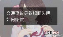 交通事故导致眼睛失明如何赔偿