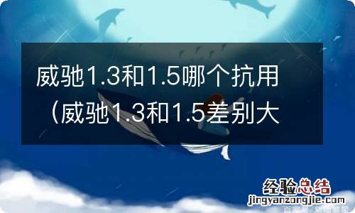 威驰1.3和1.5差别大吗 威驰1.3和1.5哪个抗用