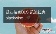 凯迪拉克BLS 凯迪拉克blackwing