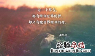 心灵鸡汤短句 励志 简短一句话心灵鸡汤励志句子
