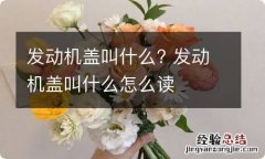 发动机盖叫什么? 发动机盖叫什么怎么读