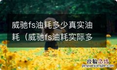 威驰fs油耗实际多少 威驰fs油耗多少真实油耗