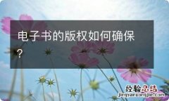 电子书的版权如何确保？