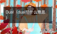 dual是什么意思 Dual