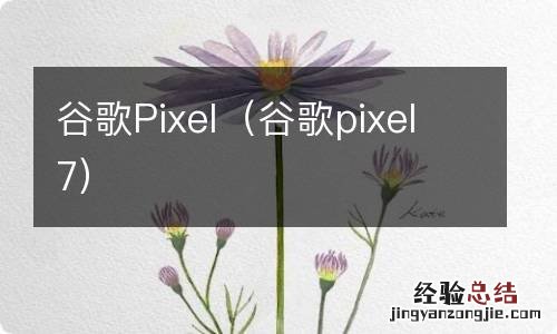 谷歌pixel7 谷歌Pixel