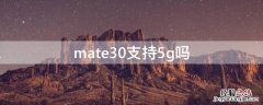 mate30支持5g吗 华为mate30支持5gsa吗