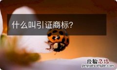 什么叫引证商标？