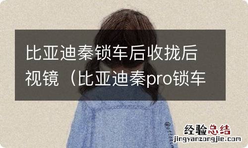 比亚迪秦pro锁车折叠后视镜 比亚迪秦锁车后收拢后视镜