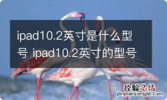 ipad10.2英寸是什么型号 ipad10.2英寸的型号是什么