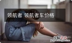 领航者 领航者车价格