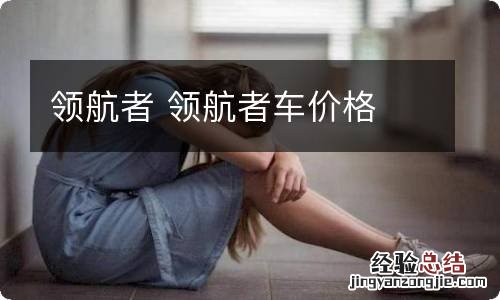 领航者 领航者车价格