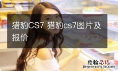 猎豹CS7 猎豹cs7图片及报价