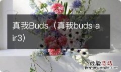 真我buds air3 真我Buds