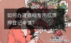 如何办理商标专用权质押登记申请？