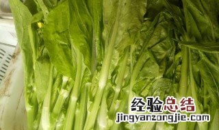 白菜苔冷冻保存方法 白菜苔冷冻保存方法图片