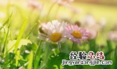 春天是容易过敏的季节对吗 春天是容易过敏的季节