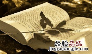 面包人什么意思 面包人什么意思污