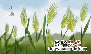 小满经典句子总结大全 小满经典句子总结