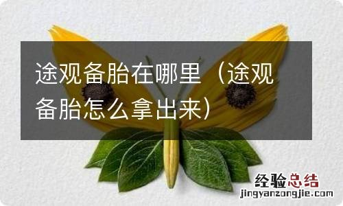 途观备胎怎么拿出来 途观备胎在哪里