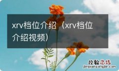 xrv档位介绍视频 xrv档位介绍