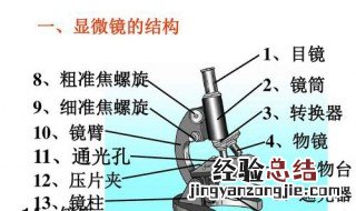 使用显微镜的步骤 使用显微镜的步骤是什么