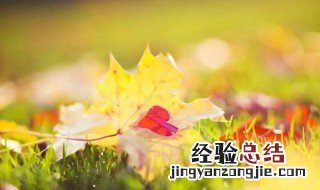 清晨阳光的唯美语句 早晨的阳光唯美的语句