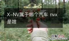 X-NV属于哪个汽车 nvx是啥