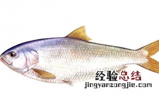 吉安特产都有什么 吉安特产都有什么零食