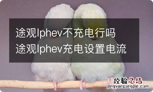 途观lphev不充电行吗 途观lphev充电设置电流