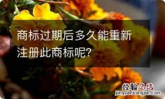 商标过期后多久能重新注册此商标呢？