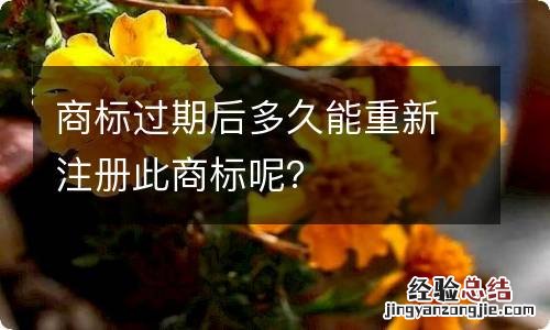 商标过期后多久能重新注册此商标呢？