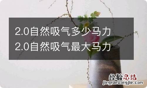 2.0自然吸气多少马力 2.0自然吸气最大马力