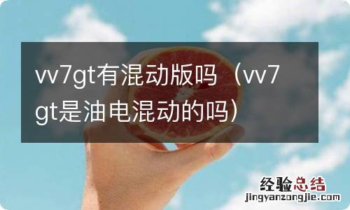 vv7gt是油电混动的吗 vv7gt有混动版吗