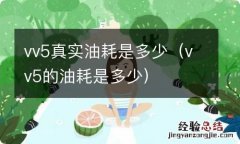 vv5的油耗是多少 vv5真实油耗是多少