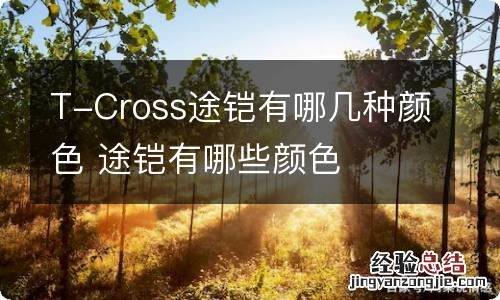 T-Cross途铠有哪几种颜色 途铠有哪些颜色