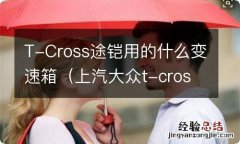 上汽大众t-cross途铠怎么样 T-Cross途铠用的什么变速箱