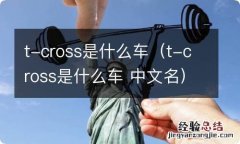 t-cross是什么车 中文名 t-cross是什么车