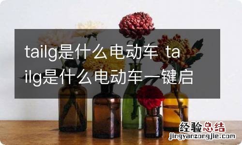 tailg是什么电动车 tailg是什么电动车一键启动价格