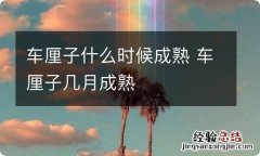 车厘子什么时候成熟 车厘子几月成熟