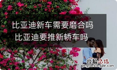 比亚迪新车需要磨合吗 比亚迪要推新轿车吗