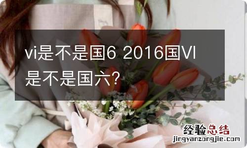 vi是不是国6 2016国VI是不是国六?