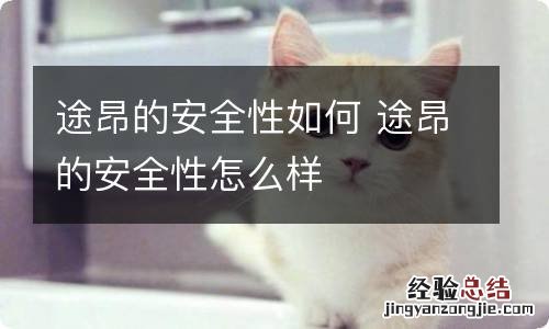 途昂的安全性如何 途昂的安全性怎么样