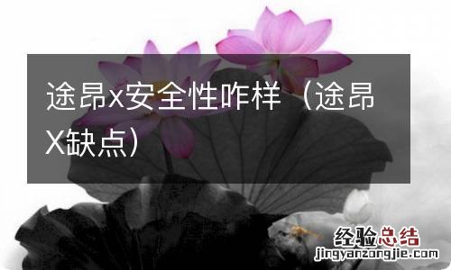 途昂X缺点 途昂x安全性咋样