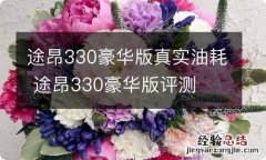 途昂330豪华版真实油耗 途昂330豪华版评测